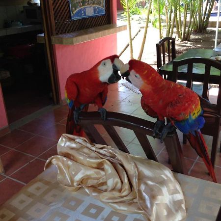 Hotel El Paraiso Escondido - Costa Rica Хако Экстерьер фото
