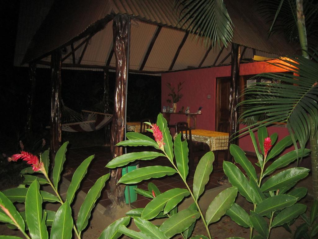 Hotel El Paraiso Escondido - Costa Rica Хако Экстерьер фото