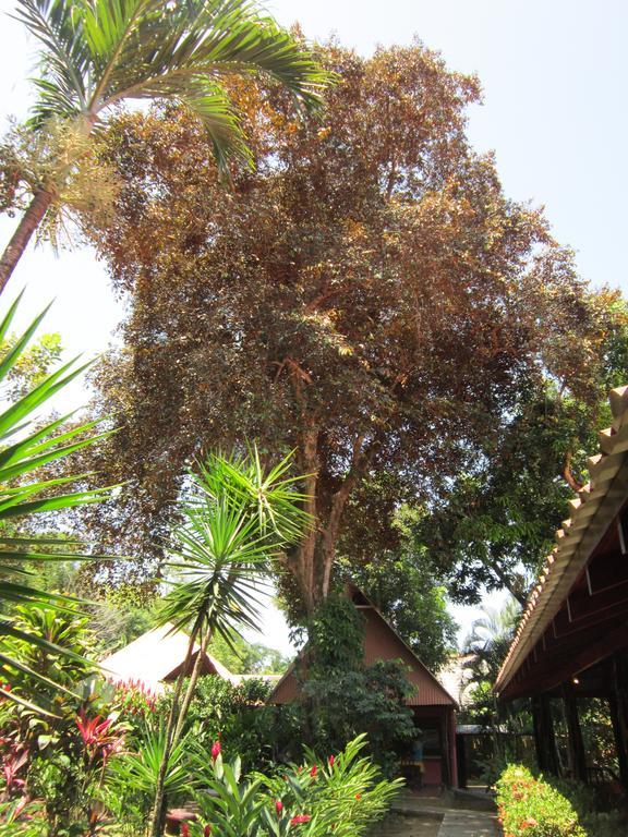 Hotel El Paraiso Escondido - Costa Rica Хако Номер фото