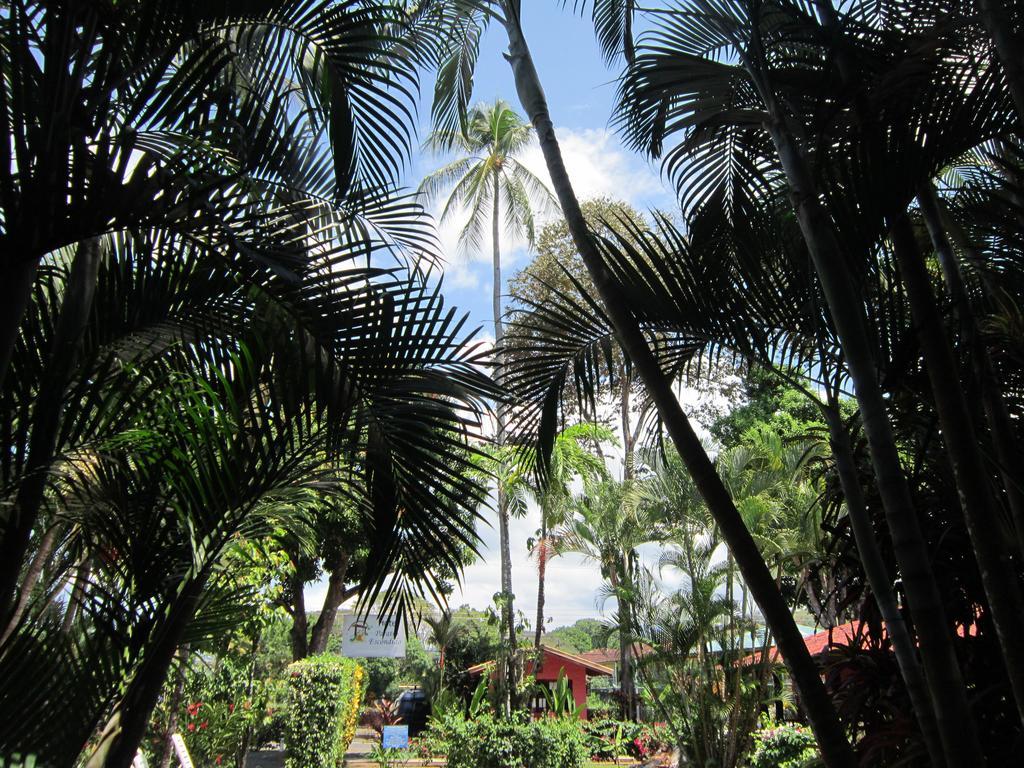 Hotel El Paraiso Escondido - Costa Rica Хако Экстерьер фото