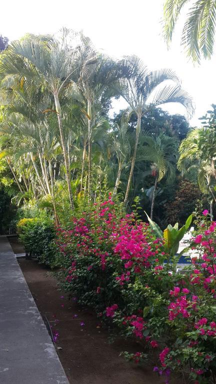 Hotel El Paraiso Escondido - Costa Rica Хако Экстерьер фото